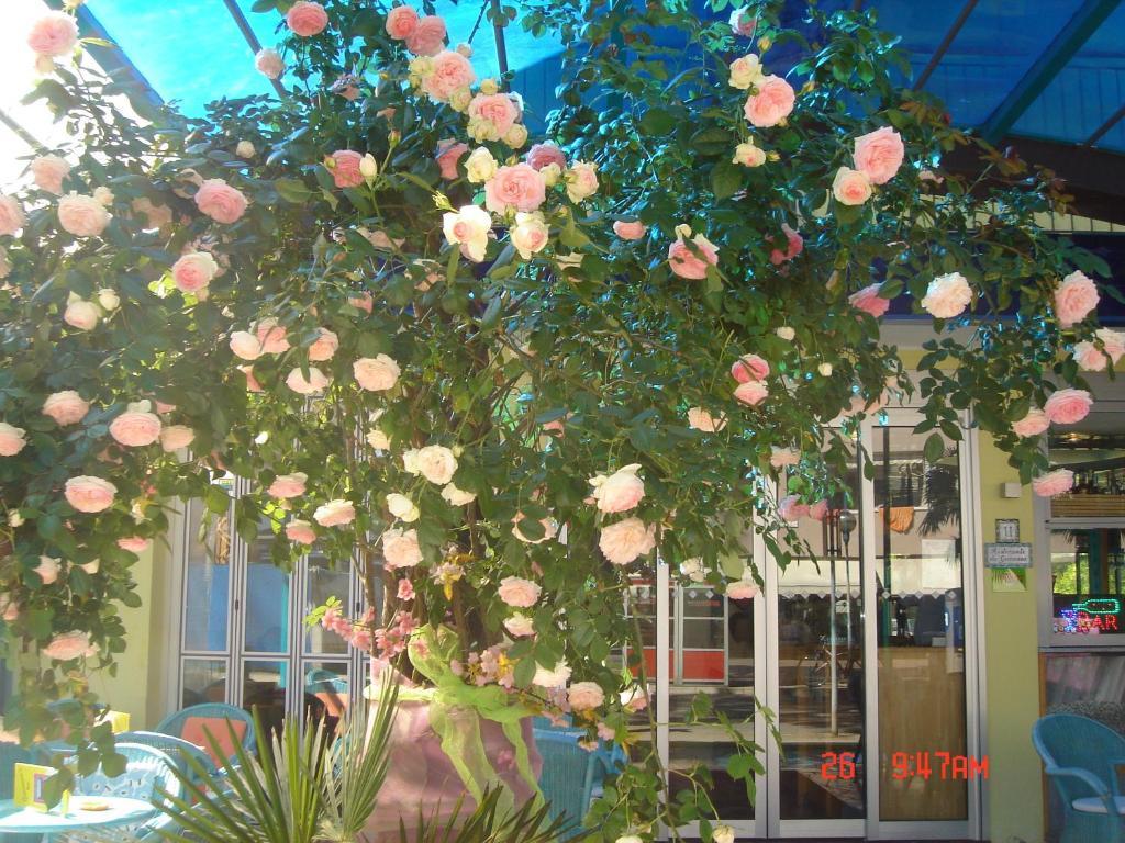 Hotel Da Giovanna Lignano Sabbiadoro Exterior foto